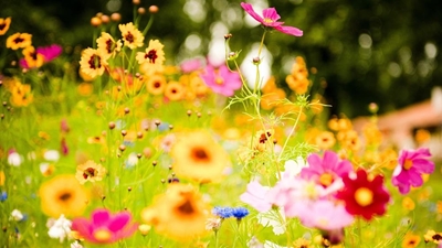 We need flowers for mothers