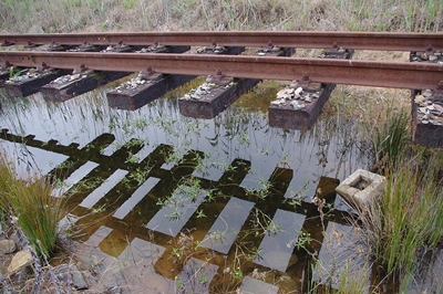 Outeniqua Choo Tjoe to puff again