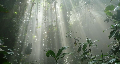 Biosphere meeting promises interesting talks