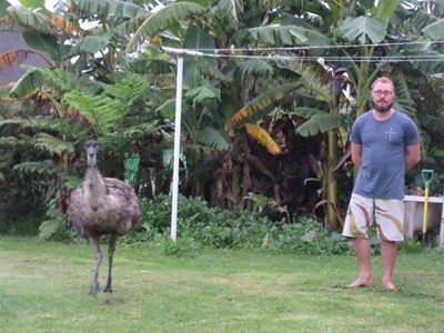 SPCA makes history with emu adoption