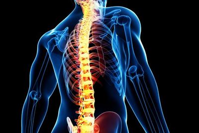 Know and protect your spine