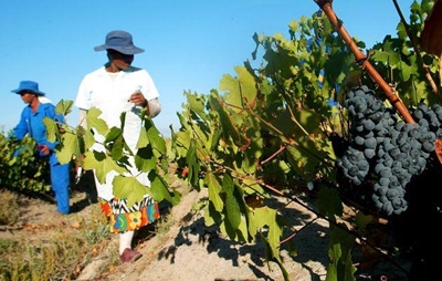 Plaaswerkers kwalifiseer vir dorpshuise