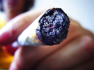 Man arrested for dagga worth R3,8-million