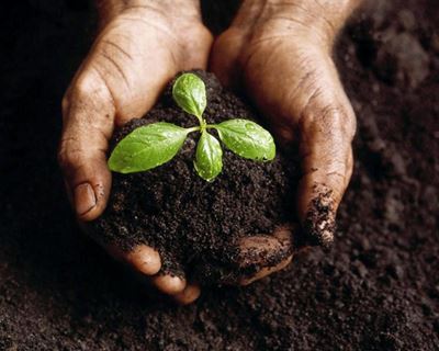 Make organic compost