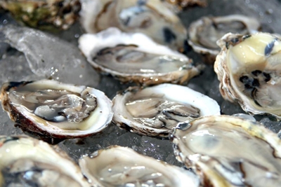 Green Chefs at Oyster Festival
