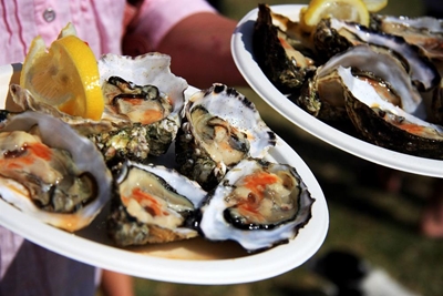Oyster Festival kicks off this weekend