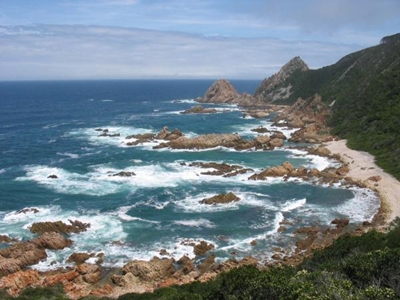 More to Knysna than oysters
