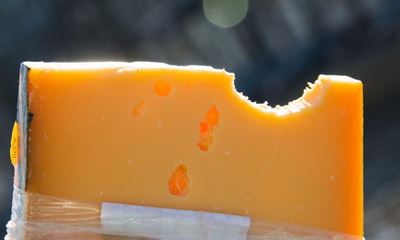 Thief steals cheese and bites guard