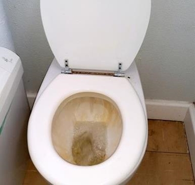 Update: Taxpayer's money down the toilet
