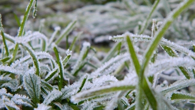 Koudste winter in 6 jaar