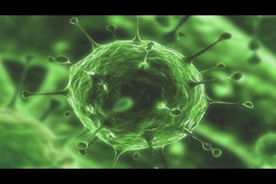 What is viral meningitis?
