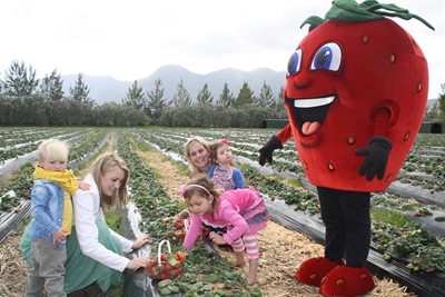 Strawberry Festival: 26 & 27 September