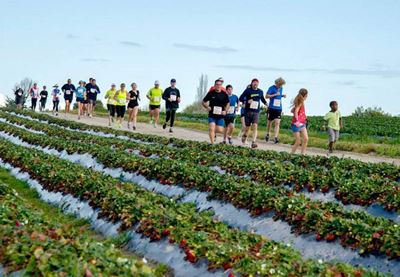 Strawberry Festival: 26 & 27 September