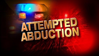Attempted kidnapping in Sedge