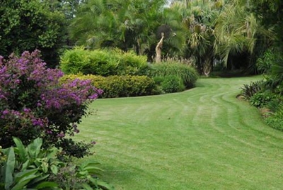 Spring is here: What to do in the garden in September