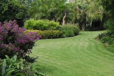Spring is here: What to do in the garden in September