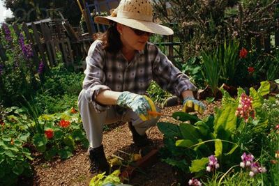What to do in the garden in October