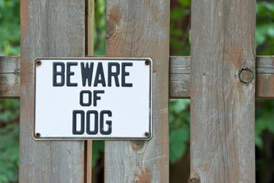 Gevaarlike hond word uitgesit