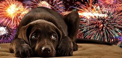 Fireworks: Be aware, be fair
