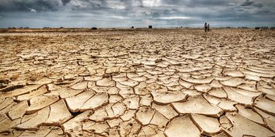 Drought also affects local food prices