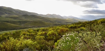 Herold Meander Plaasfees