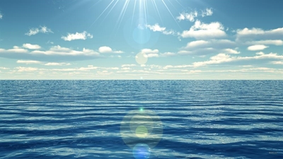 Sustainable seafood is the right choice
