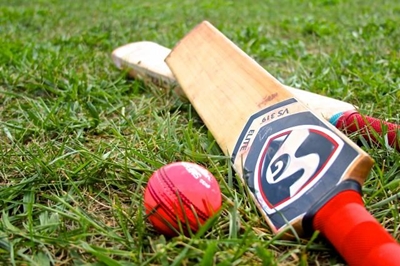Sedgars SWD cricket log standings