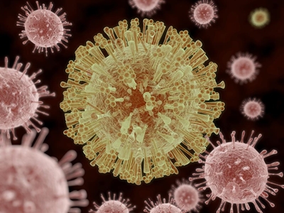 Steps to prevent Zika virus spreading