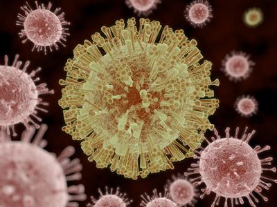Steps to prevent Zika virus spreading