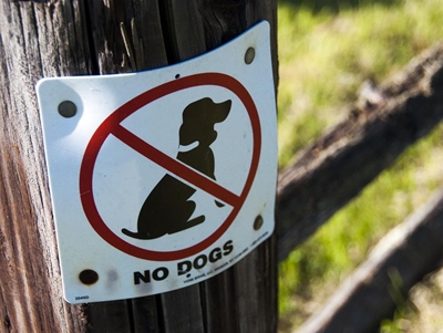 Dogs banned from Outeniqua Reserve