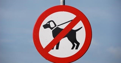 Dogs banned from Outeniqua Nature Reserve