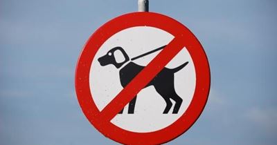 Dogs banned from Outeniqua Nature Reserve