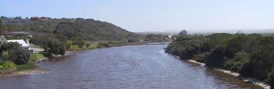 Watertoetse in Hartenbosrivier