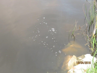Municipal initiative for Hartenbos River