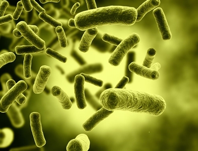 E.coli levels unacceptable at 5 points