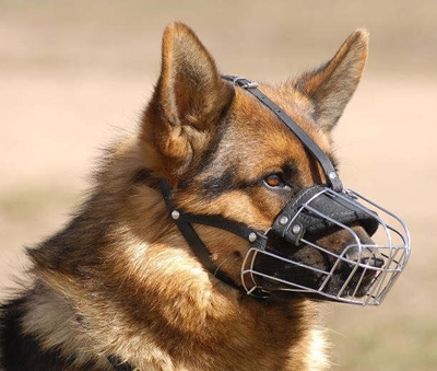 Protect yourself against dog attacks