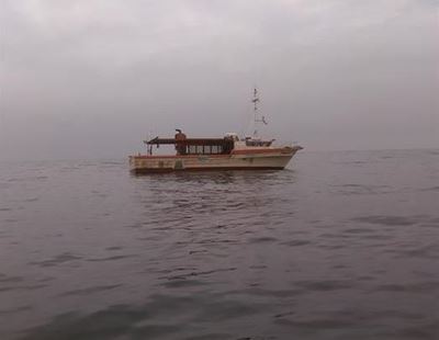 Longline fishing under spotlight again