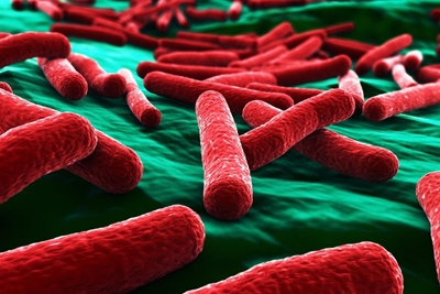 E.coli levels down from previous month