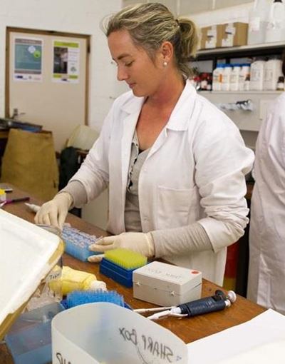 KI van volstruise vir navorsing