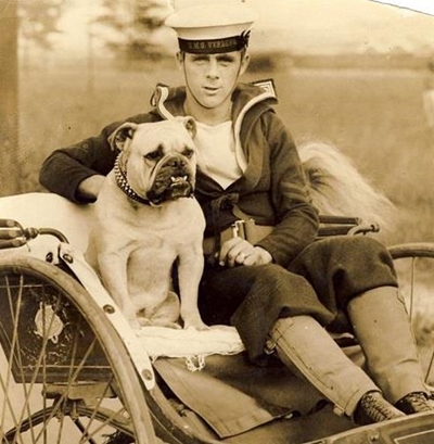 Knysna's historic bulldog Bondi