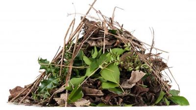 Garden refuse site back in operation