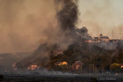 Interview with Eden Disaster head about fires