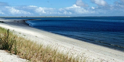 Join the beach clean up