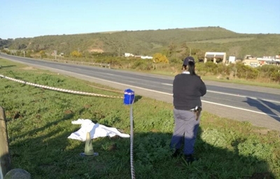 Polisie soek bestuurder na tref-en-trap op N2