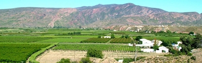 Gold for De Krans Wine Cellar