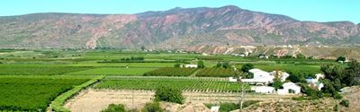 Gold for De Krans Wine Cellar