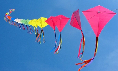 Kite festival promises spectacular displays