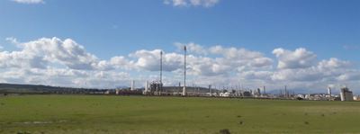 PetroSA narrows down losses