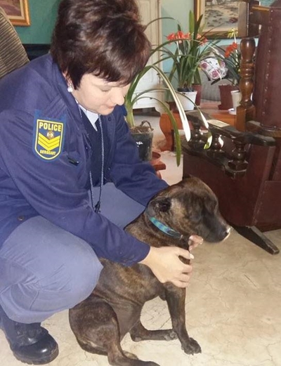 Hond van vermoorde egpaar na Costa Rica