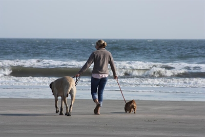 Where to walk your dog